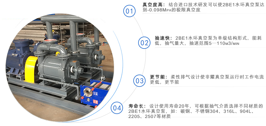 2BE1系列水環式真空泵組(圖1)